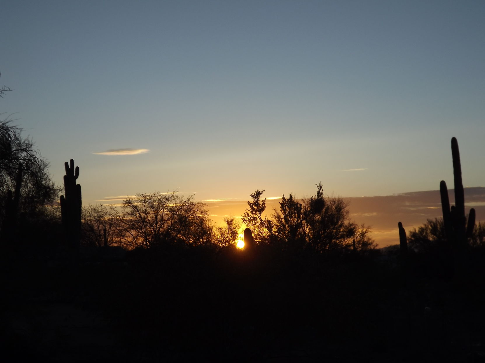 Sunset From the Backyard
